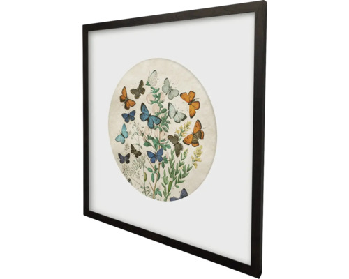 Image encadrée représentant des papillons et des plantes