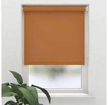 Fenster mit Rollo