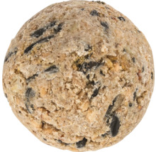 Boule de nourriture pour oiseaux sauvages