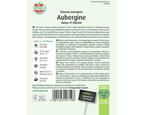 Paquet de graines d''aubergine Galine F1-Hybride de Sperli