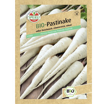 Sperli Bio Pastinaken Samenpackung