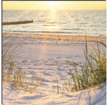 Strand mit Meer und Dünenlandschaft im Sonnenlicht
