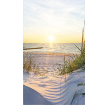 Strand mit Düne, Gras und Sonnenuntergang