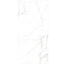 Carreau rectangulaire avec structure en marbre.