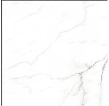 Échantillon de carreau de marbre blanc