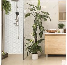 Helles Badezimmer mit Dusche, Waschbeckenunterschrank und Zimmerpflanzen für eine freundliche Atmosphäre.