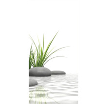 Dekorative Steine ​​mit Gräsern im Wasser