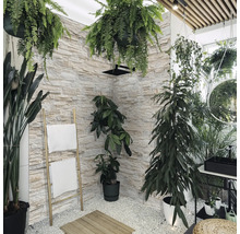 Modernes Badezimmer mit Steinwand, Dusche, Pflanzen und Handtuchleiter