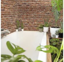 Badezimmer mit Badewanne, Ziegelwand und verschiedenen Pflanzen.