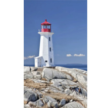 Ein weißer Leuchtturm mit roter Spitze steht auf felsigem Untergrund vor blauem Himmel.