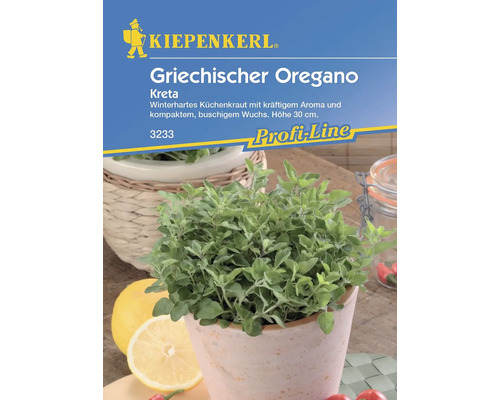 Origan Kreta, origan grec Kiepenkerl semences non hybrides graines de fines herbes Origan grec Kiepenkerl en pot, plante de cuisine résistante à l''hiver