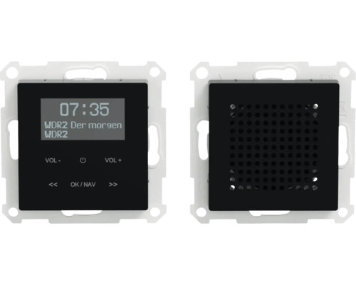 Set radio DAB+ Merten MEG4375-0303 avec Bluetooth + haut-parleur système M noir Radio encastrable avec écran et panneau de commande à l''avant et haut-parleur à l''arrière