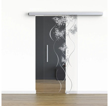 Porte coulissante en verre avec motif papillon