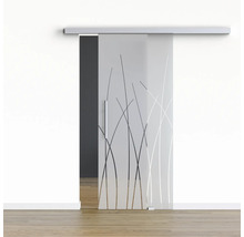Porte coulissante en verre avec motif de plantes devant un mur