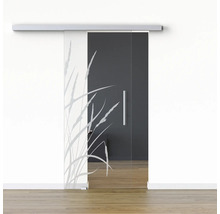 Porte coulissante en verre avec décor d''herbes devant un mur clair