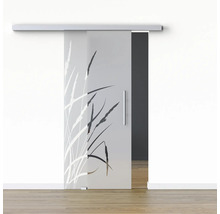 Porte coulissante en verre avec motif de plantes