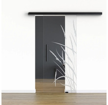 Pertura Glasschiebetür Komplettset Glera Blade 01 900x2050 mm Rechts inkl.Beschlag Selir Aluminium schwarz,Stangengriff