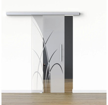 Porte coulissante en verre avec motif de plantes