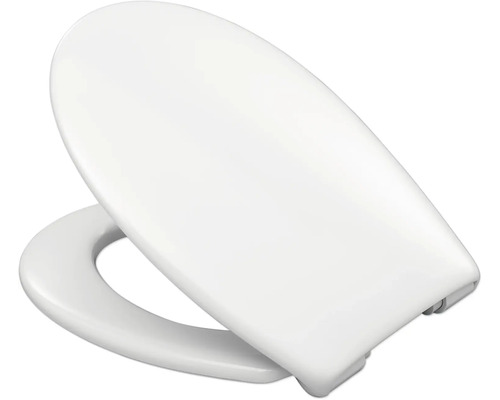 Toilettendeckel aus Kunststoff