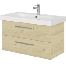 Meuble-lavabo avec lavabo et meuble sous-vasque à deux tiroirs
