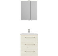 Badezimmer-Set mit Spiegelschrank und Waschtischunterschrank