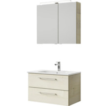 Badezimmerset mit Spiegelschrank, Waschbecken und Unterschrank