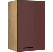 Hängeschrank mit Tür und Griff