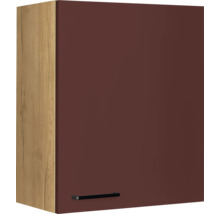 Hängeschrank mit Tür und Griff