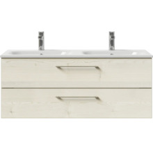 Waschtischunterschrank mit zwei Waschbecken und zwei Schubladen