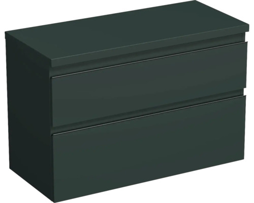 Meuble sous vasque Jungborn TRENTA lxhxp 96,7 x 64,6 x 44,5 cm couleur de façade vert menthe mat TRE DESK 100 2Z B A9146