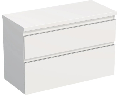 Meuble sous vasque Jungborn TRENTA lxhxp 96,7 x 64,6 x 44,5 cm couleur de façade blanc mat TRE DESK 100 2Z S 379