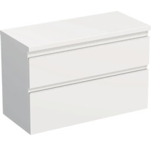 Waschbeckenunterschrank mit zwei Schubladen