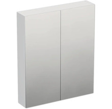 Armoire de toilette avec deux portes pour la salle de bain