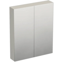 Armoire de toilette avec deux portes pour la salle de bains