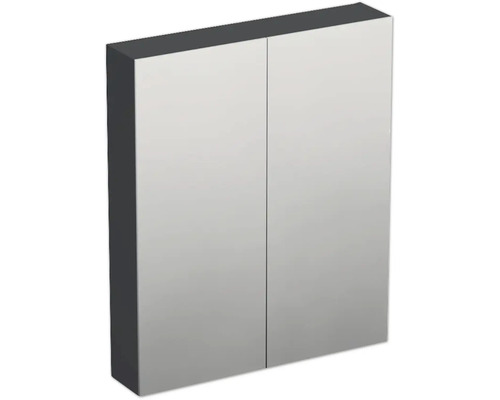 Armoire de toilette Jungborn TRENTA 60 x 14,4 x 72 cm anthracite mat 2 portes IP 44