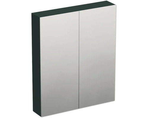 Armoire de toilette Jungborn TRENTA 60 x 14,4 x 72 cm grün salvia mat 2 portes IP 44