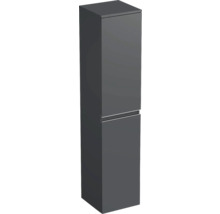 Armoire de salle de bain étroite à deux portes