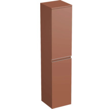 Armoire haute de salle de bains à deux portes