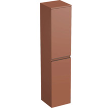 Armoire haute à deux portes pour la salle de bains