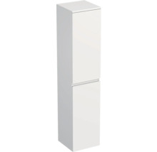Armoire haute avec deux portes pour la salle de bain