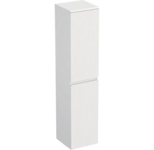 Armoire haute avec deux portes pour salle de bain