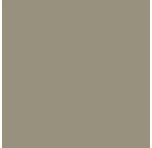 LOOKS by Wolfgang Joop Wandfarbe Sandy Taupe 2,5 l