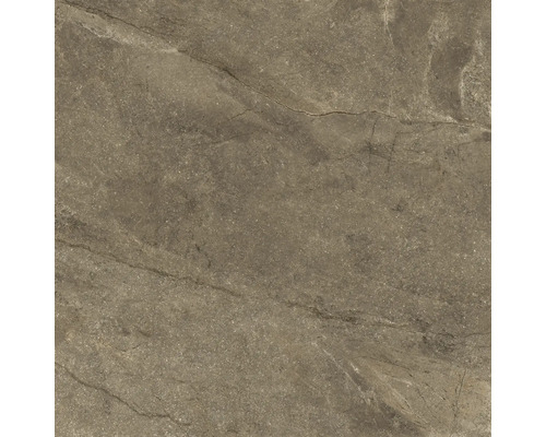 Carrelage sol et mur en grès-cérame fin Wells 120 x 120 x 1,07 cm moka marron brillant rectifiée