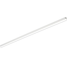 Lampe LED SylPipe 2200 lm 4000 K 840 L 150 cm