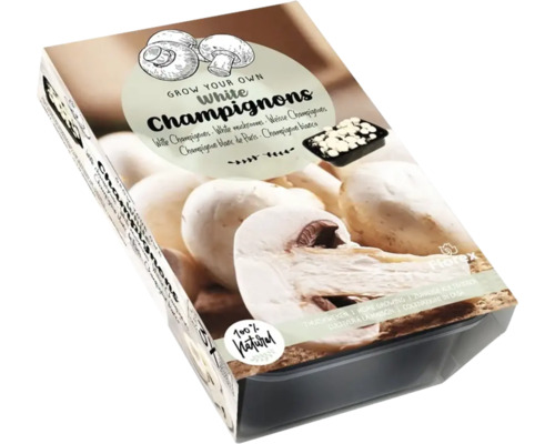 Kit de culture de champignons Champignons blancs 750 g