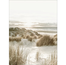 Dekoratives Bild einer Dünenlandschaft mit Strand und Meer