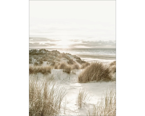 Dekoratives Bild einer Dünenlandschaft mit Strand und Meer