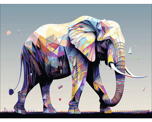 Tableau sur toile Colorful Elefant II 77x57 cm