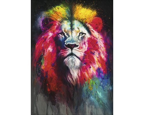 Tableau sur toile Original Colorful Lion Head VI 50x70 cm