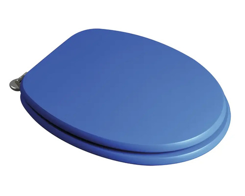 Blauer Toilettendeckel mit Chromscharnieren